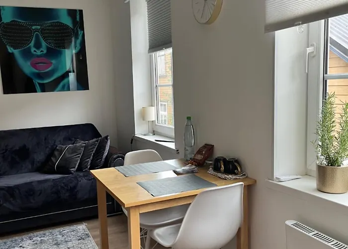 Appartement Ally's Urban Cozy Juhkentali 42 Near Centre Airport Next To Bus Station *