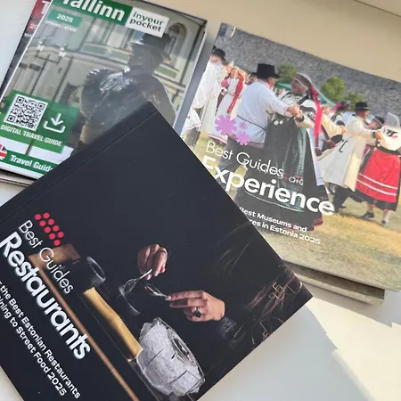 Ally's Urban Cozy Juhkentali 42 Near Centre Airport Next To Bus Station