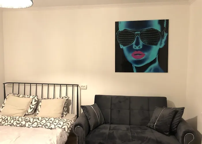 Ally's Urban Cozy Juhkentali 42 Near Centre Airport Next To Bus Station Appartement